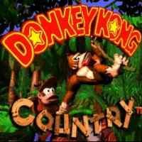 Donkey Kong Country Bakal Hadir di Wii